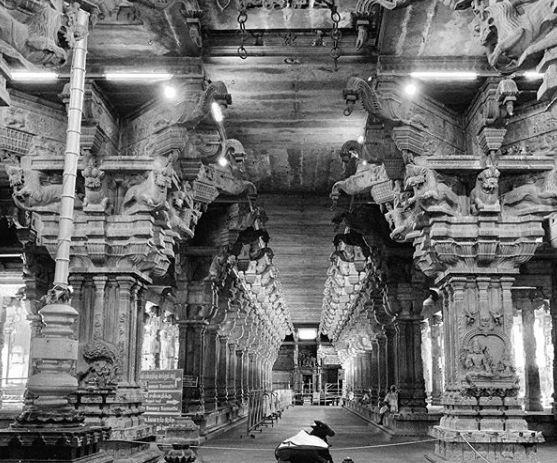 印度不止泰姬陵！这7座印度最美寺庙带你思考人生