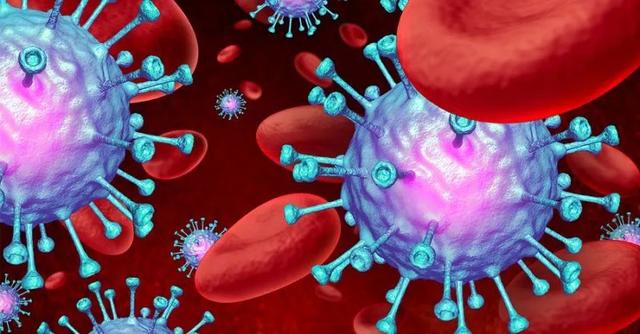 人人学懂免疫学：第十一期 B细胞的激活过程