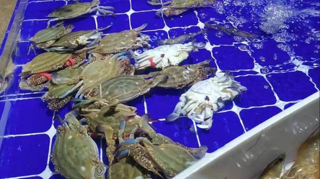 探访济南海鲜大市场——节前市民争抢“鲜”梭子蟹海虾成“爆品”