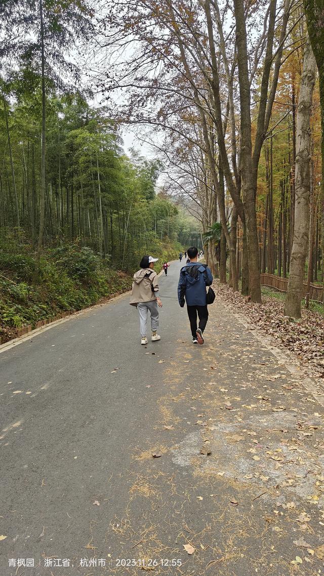 走遍大杭州（21）：新晋网红打卡地 甘岭水库-娘娘山-长乐林场