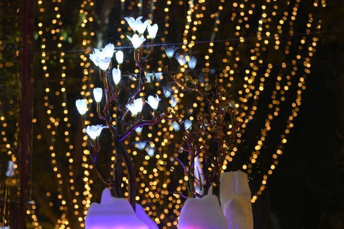 文化中国行·镜头里的非遗年|非遗灯会耀新春