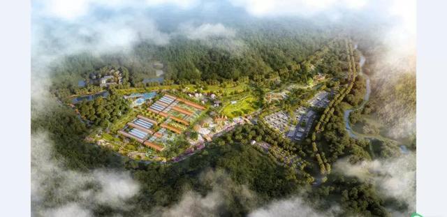 东莞这镇将迎大爆发!22个项目签约,招商上百亿