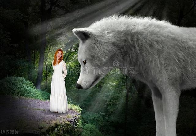 美女与野兽的真实故事:一个被人类欺负一辈子的半人半兽