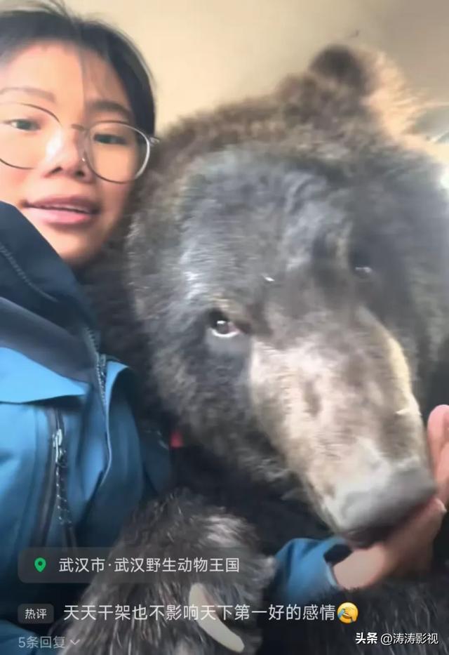 00后女孩和200斤棕熊“玩闹”,背后故事既温馨又惊险!