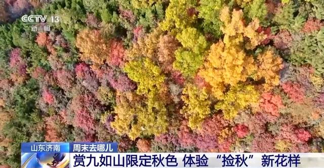 “遇稻粉黛”“捡秋”赏秋菊……快来晒出你的出游打卡照