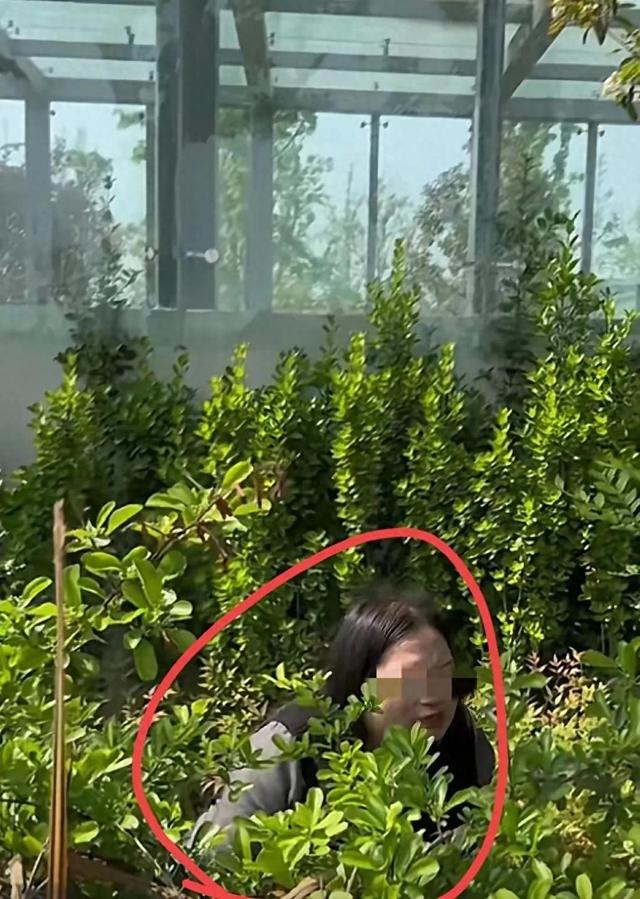 禁止随地大小便!躲在花丛中的美女,你要绕开走,真恶心啊