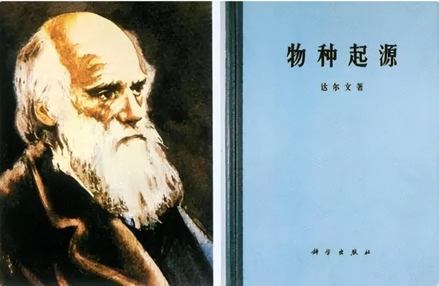 非洲女孩巴特曼:身材奇特供欧洲人观赏,死后成为标本展览200年