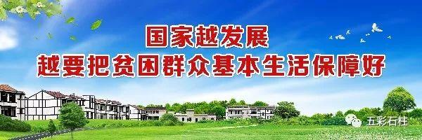 石柱车主注意!超12万辆缺陷汽车被紧急召回!