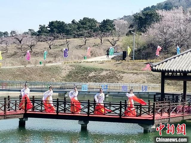 辽宁沈阳:杏花仙子醉美舞动千亩杏花林