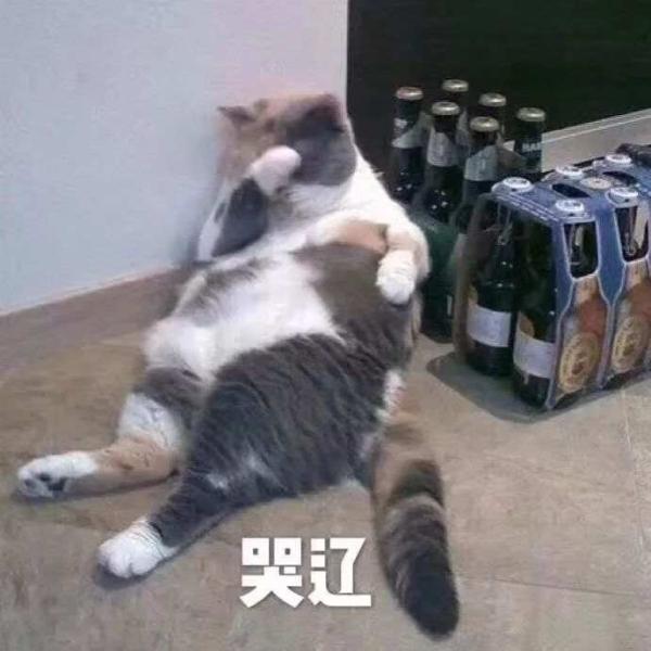 四川多条高速“飙红”,网友:上个月出发的朋友,这个月到家没?