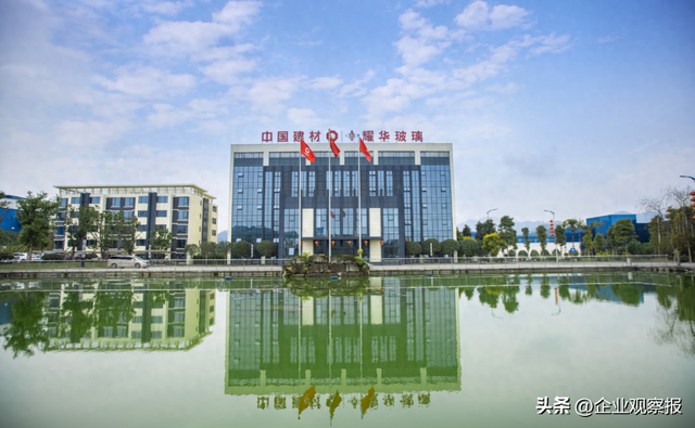 老树新枝：耀华玻璃转型升级的道与术