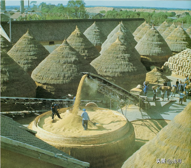罕见照片:日本女人竟如此开放大胆,女学生脱光衣服全身赤裸上课