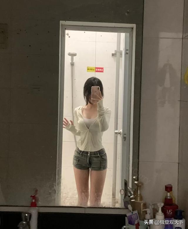 美女总裁的贴身保镖:我的绝色上司竟是我前女友