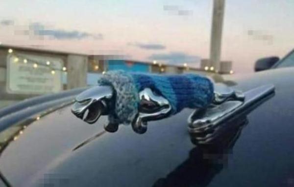 史上最“牛”车标,捷豹穿毛衣,大众变忍者神龟,Jeep车标亮