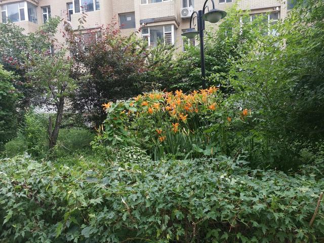 日常生活比修炼更幸福,《我的冰山美女老婆》大结局了