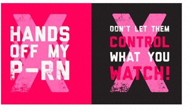 美国大选奇闻：17名AV女星斥10万美元登广告，反对共和党2025计划