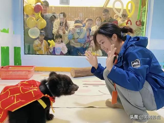00后女孩和200斤棕熊“玩闹”,背后故事既温馨又惊险!