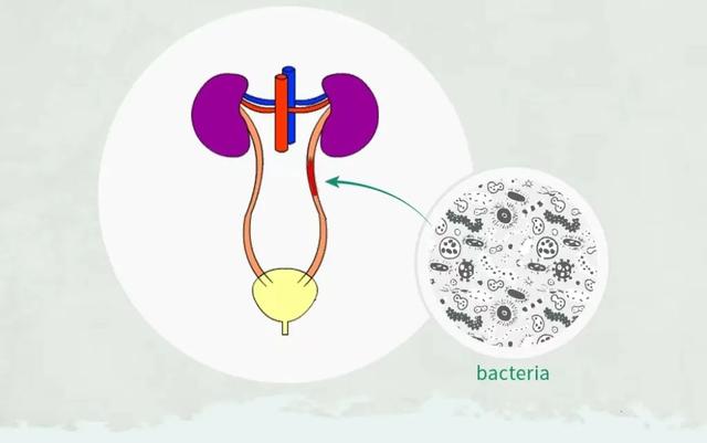 男人和女人，哪个更能憋？