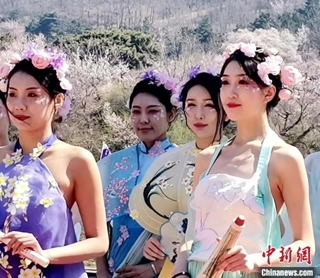 辽宁沈阳:杏花仙子醉美舞动千亩杏花林