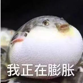 石柱车主注意!超12万辆缺陷汽车被紧急召回!