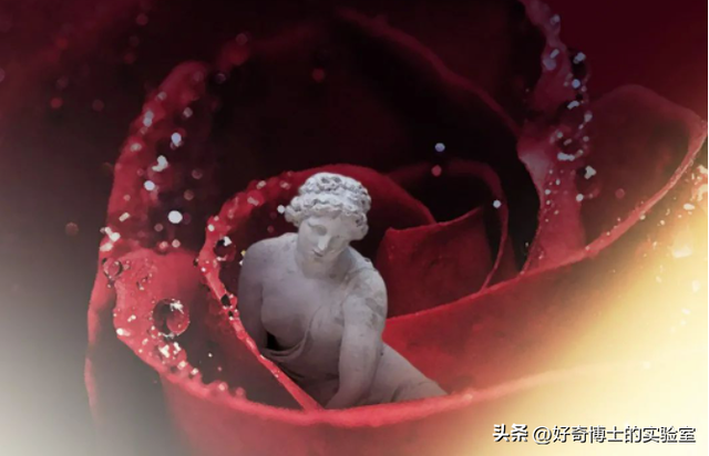 为啥女生来月经时欲望更强烈?万一没忍住啪了有啥严重后果吗?