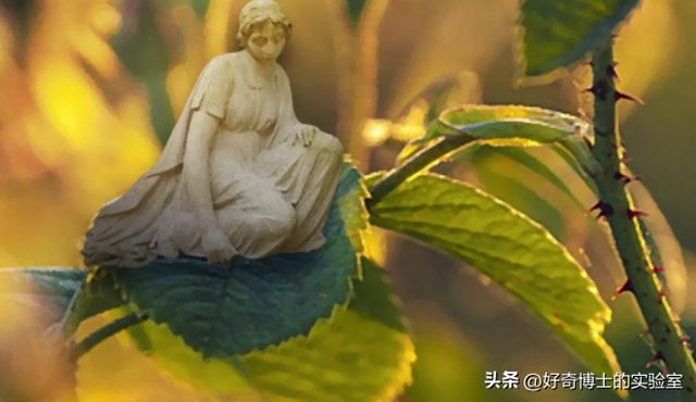 为啥女生来月经时欲望更强烈?万一没忍住啪了有啥严重后果吗?