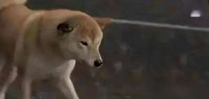 ktv的美女(失恋美女深夜去KTV发泄，找男模陪酒，醒后崩溃回顾：3天没睡觉)