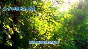 狼和美女图片(森林奇缘：美女与狼的非凡友谊)