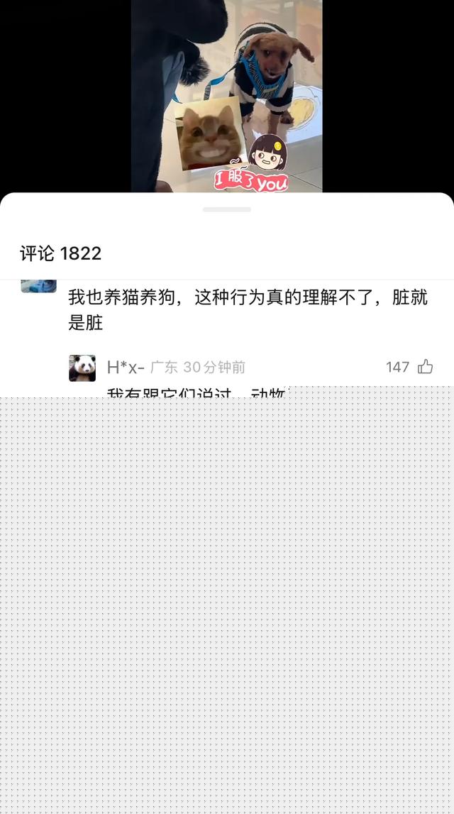 女子和狗狗的亲密瞬间引发争议!