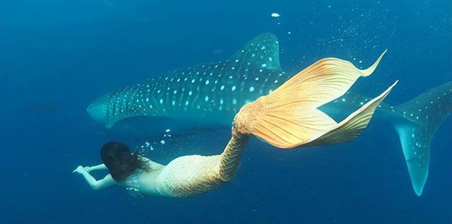 俄罗斯美女,不要车不要房,听从父亲遗言,远嫁中国,变成赢家