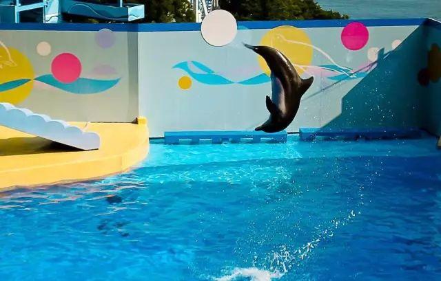 明天起,盐城将新增、恢复这些新航线!其中这条航线你一定很期待……