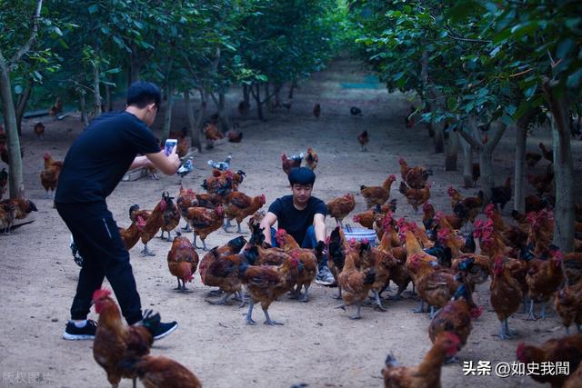 美女开直播放炮,衣服破洞、脸被崩得黢黑,网友:灾难中的天使