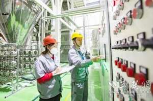 大冶汽车(大冶两会｜打造一个500亿产业，两个300亿产业，盘活汉龙汽车)