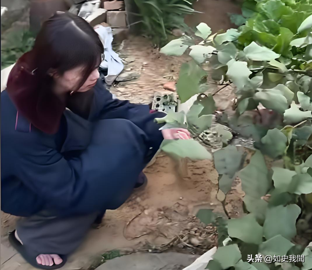 美女开直播放炮,衣服破洞、脸被崩得黢黑,网友:灾难中的天使