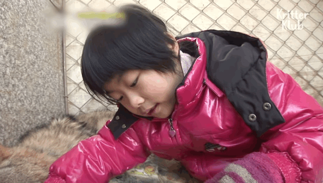 韩国9岁女孩公开人狼日常走红油管!网友爆笑:现实版美女与野兽