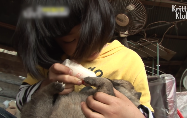 韩国9岁女孩公开人狼日常走红油管!网友爆笑:现实版美女与野兽