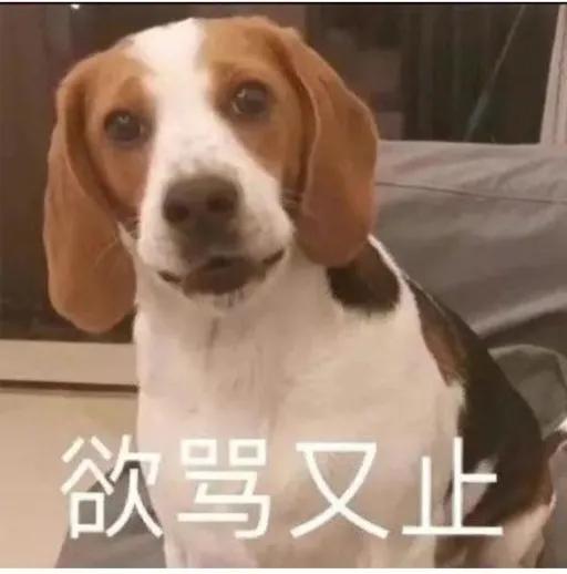 真是够了！一女孩生病导致安装义眼，网友除非你摘下来看看