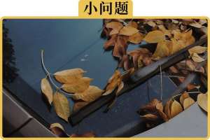 汽车雨刷响(雨刮出现嘎吱吱异响，自己动手如何解决)