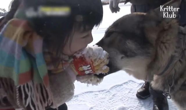 韩国9岁女孩公开人狼日常走红油管!网友爆笑:现实版美女与野兽