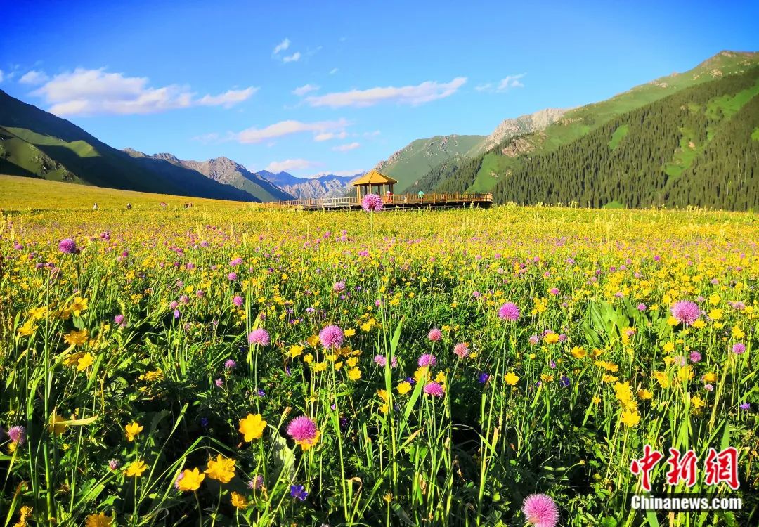 人这一辈子,一定要去一趟“新疆心脏”!