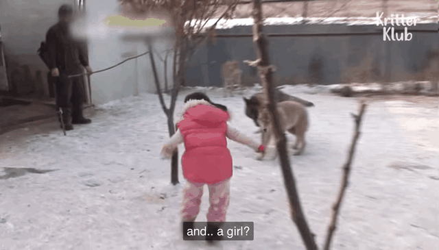 韩国9岁女孩公开人狼日常走红油管!网友爆笑:现实版美女与野兽