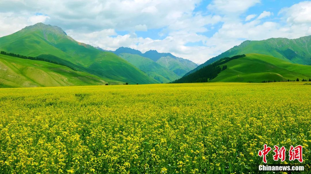 人这一辈子,一定要去一趟“新疆心脏”!