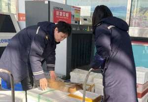 汽车快递吗(省内快递当日达汽车总站速递业务迎来节前小高峰)