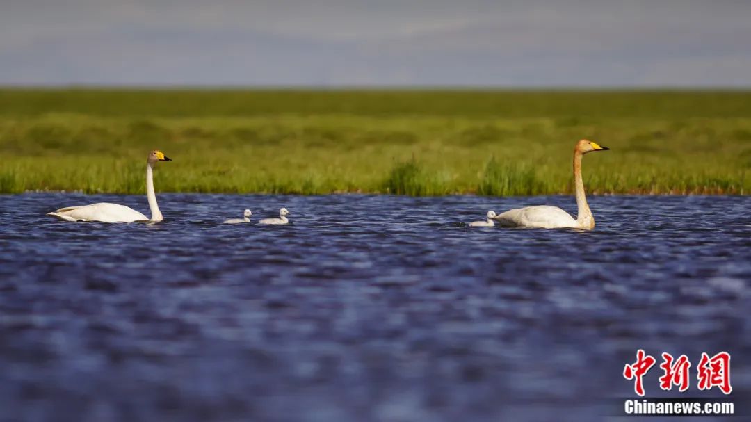 人这一辈子,一定要去一趟“新疆心脏”!