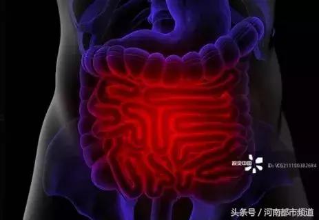 26岁妹子每天放屁50多次,送医后化验单吓到医生