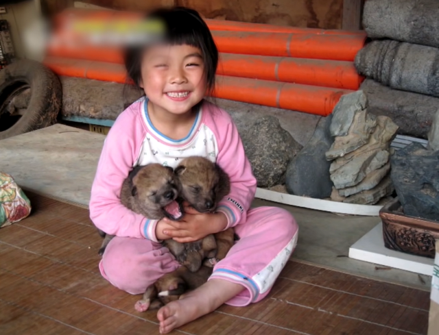 韩国9岁女孩公开人狼日常走红油管!网友爆笑:现实版美女与野兽