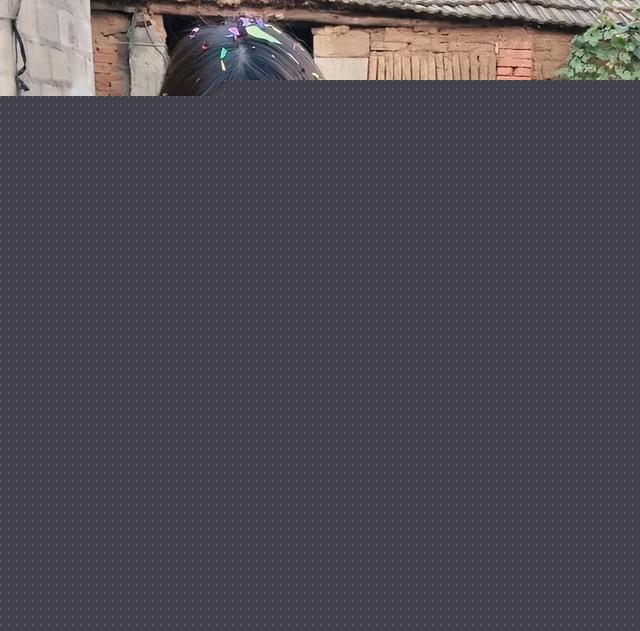 美女开直播放炮,衣服破洞、脸被崩得黢黑,网友:灾难中的天使