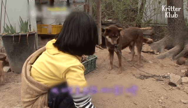 韩国9岁女孩公开人狼日常走红油管!网友爆笑:现实版美女与野兽