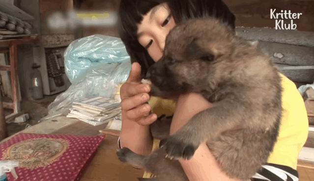 韩国9岁女孩公开人狼日常走红油管!网友爆笑:现实版美女与野兽