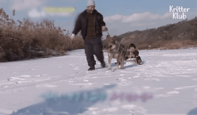 韩国9岁女孩公开人狼日常走红油管!网友爆笑:现实版美女与野兽